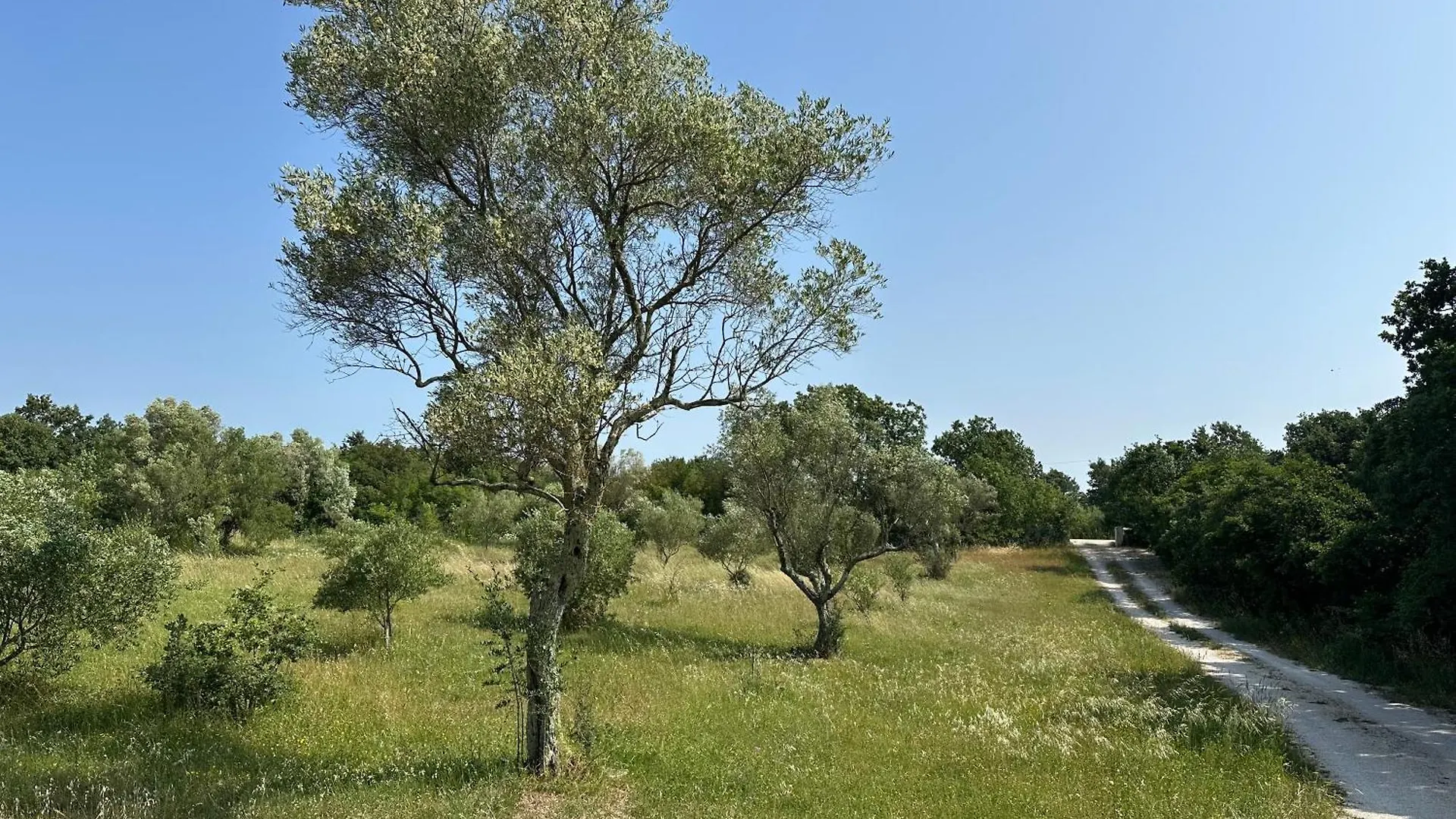 Luxury Villa In Istria - 9,000 Sqm Private Estate With Pool & Sauna, 15 Min To Sea, Near Fazana, 3 Bedrooms